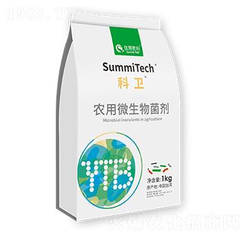 �r(n��ng)��΢�������-���l(w��i)-