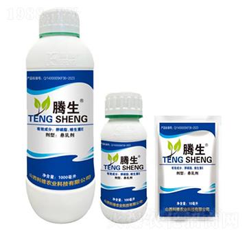 ����֬���S����E-�v��-�õ���