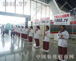 �r(n��ng)�����̾W(w��ng)��ݻֺ���(du��)���@�ø����L(f��ng)��