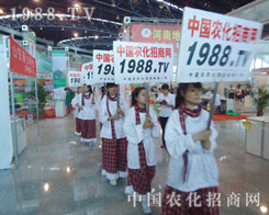 �r(n��ng)�����̾W(w��ng)�������侫���Z��(d��ng)����������ȫ��