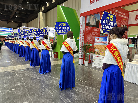 �𱬾W(w��ng)��Ů�Y�x���������2024��ԭ�r(n��ng)�Y�p������