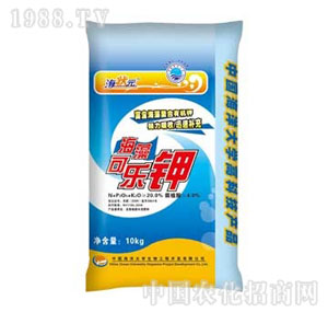 ����Ԫ-����ɘ�(l��)�