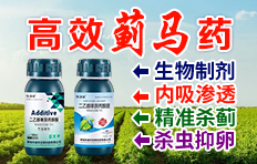 �ĳǿƵ��A����Ƽ����޹�˾