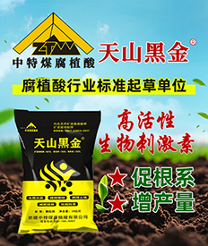 �½�����ú��ֲ�����޹�˾